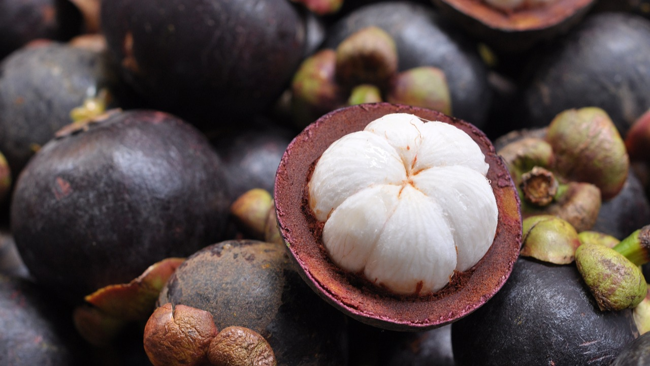 Mangosteen